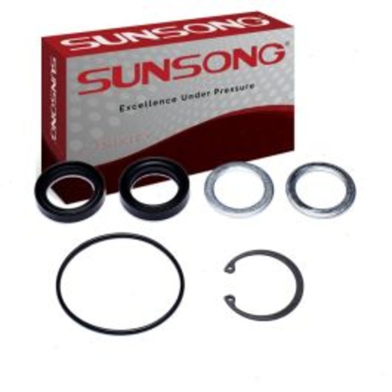 Sunsong Steering Gear Pitman Shaft Seal Kit for 1970-1978 American Motors Gremlin 2.0L 5.0L L4 V8
