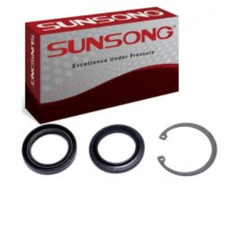 Sunsong Lower Steering Gear Pitman Shaft Seal Kit for 1977-1979 Ford LTD II