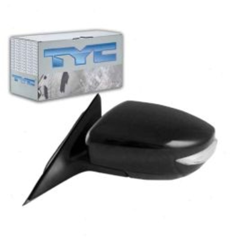 TYC 5700542 Door Mirror
