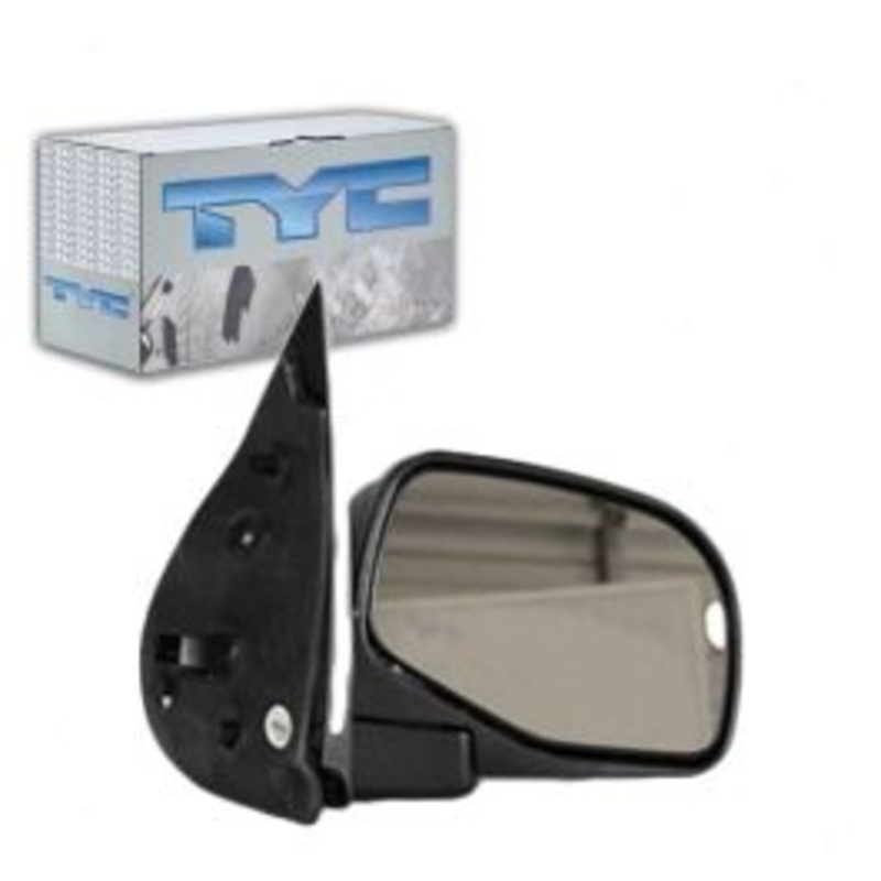 TYC 3020531 Door Mirror