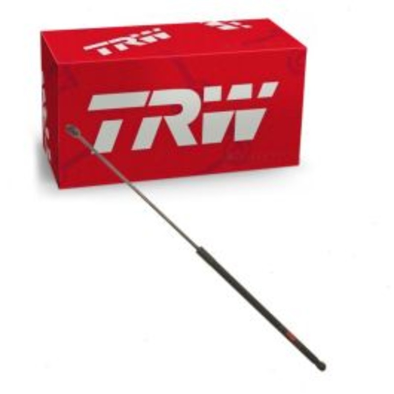 TRW Hood Lift Support for 2017 Volkswagen Golf Alltrack 1.8L L4