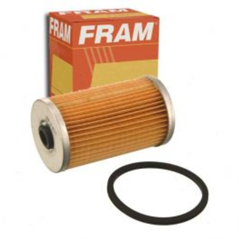 FRAM Fuel Filter for 1975-1977 Dodge W200