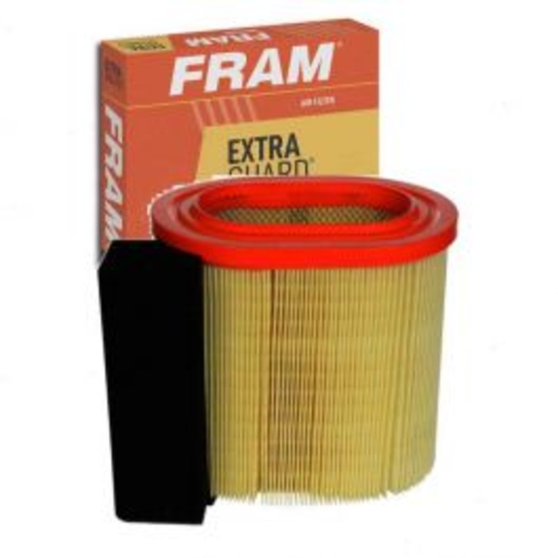 FRAM Extra Guard CA12182 Air Filter