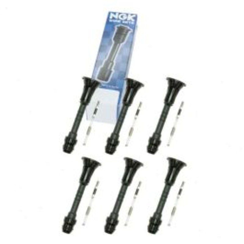 6 pc NGK 58956 Ignition Coil Boots