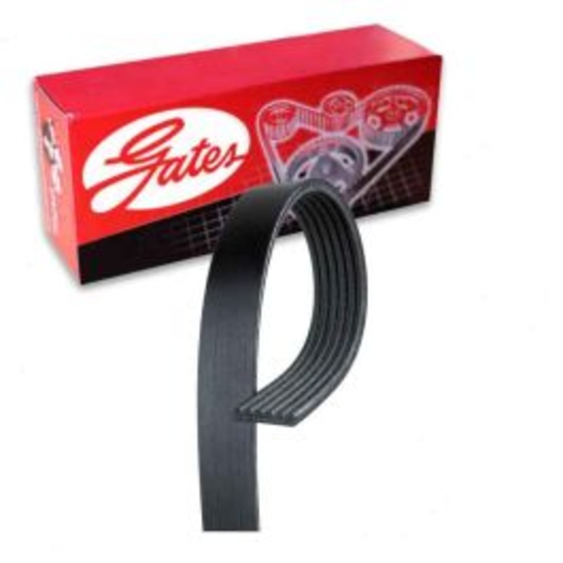 Gates Micro-V Serpentine Belt for 2009-2010 Jeep Grand Cherokee 5.7L V8