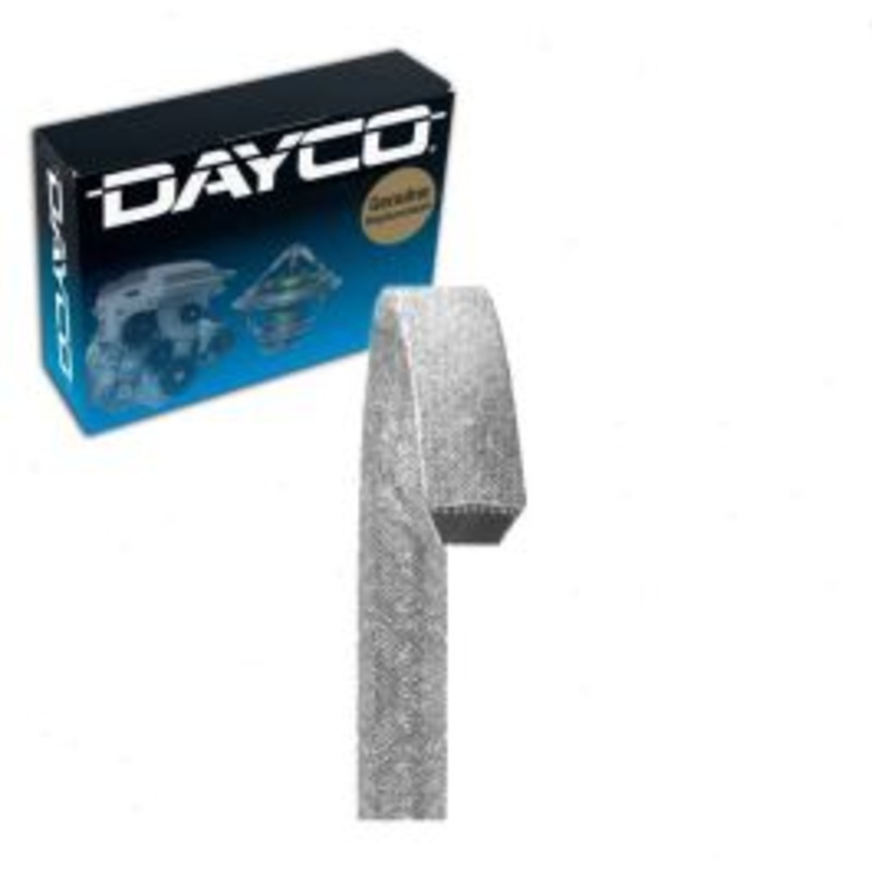 Dayco L4103 Accessory Drive Belt