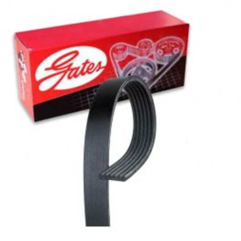 Gates Micro-V Alternator AC Serpentine Belt for 2012-2018 Audi A7 Quattro 3.0L V6