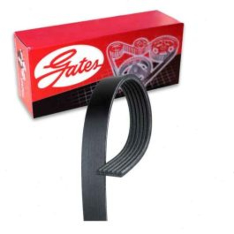 Gates Micro-V Serpentine Belt for 2018 Jeep Wrangler JK 3.6L V6