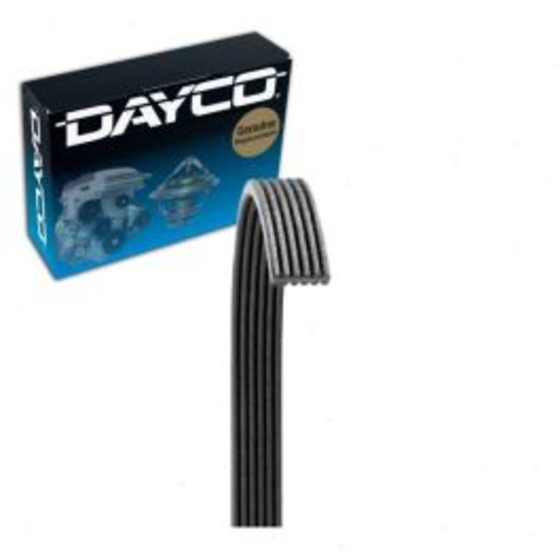 Dayco 6050565 Serpentine Belt