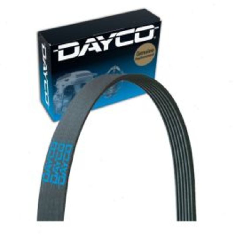 Dayco 5081125 Serpentine Belt