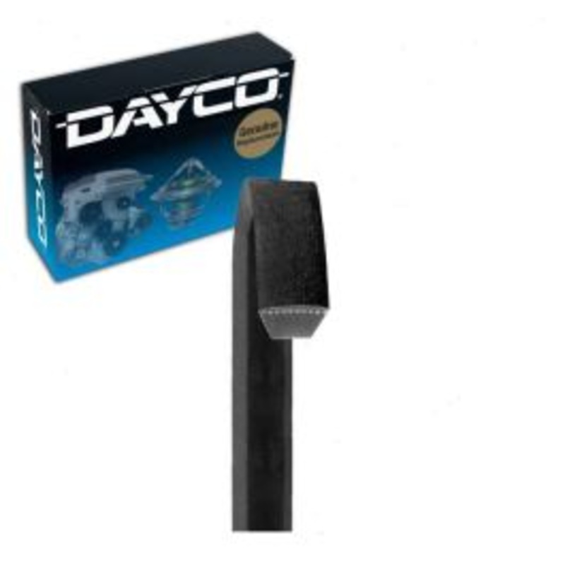 Dayco BP59 Accessory Drive Belt