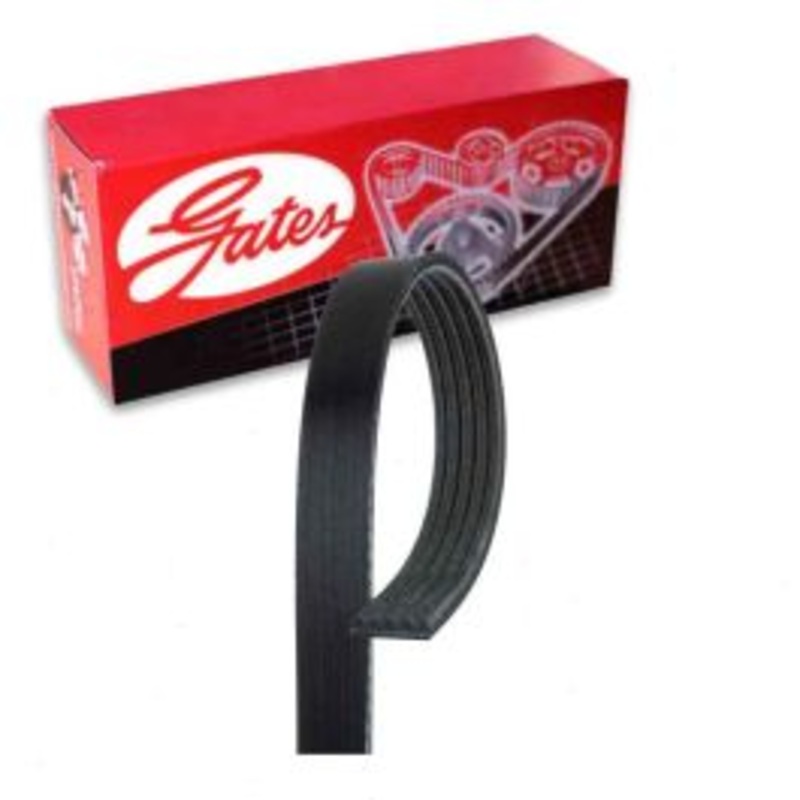 Gates Micro-V Serpentine Belt for 2016 Audi RS5 4.2L V8